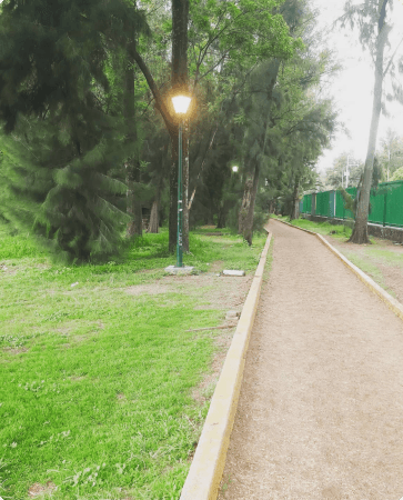 Love to run in the mornings โ๏ธ